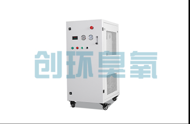 奉贤工厂化养鲈必看：2026年臭氧发生器替代传统消毒的最新方案