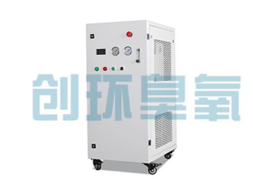 奉贤石斑鱼养殖水质调控完整指南：臭氧发生器配置与操作步骤