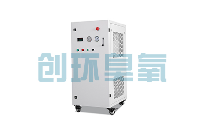奉贤比传统换水更高效？臭氧发生器在石斑鱼养殖中的水质净化原理解析