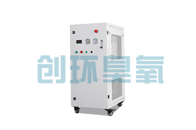 奉贤比传统换水更高效?臭氧发生器在石斑鱼养殖中的水质净化原理解析